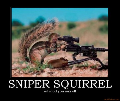 sniper-squirrel-sniper-squirrel-demotivational-poster-1222872232.jpg?w=500